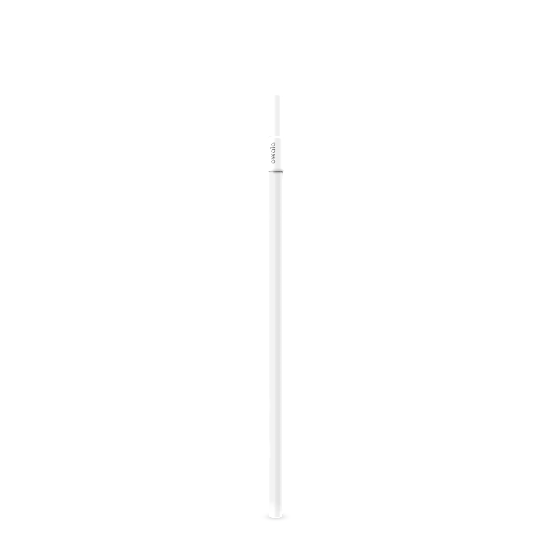 Replacement Straws C1