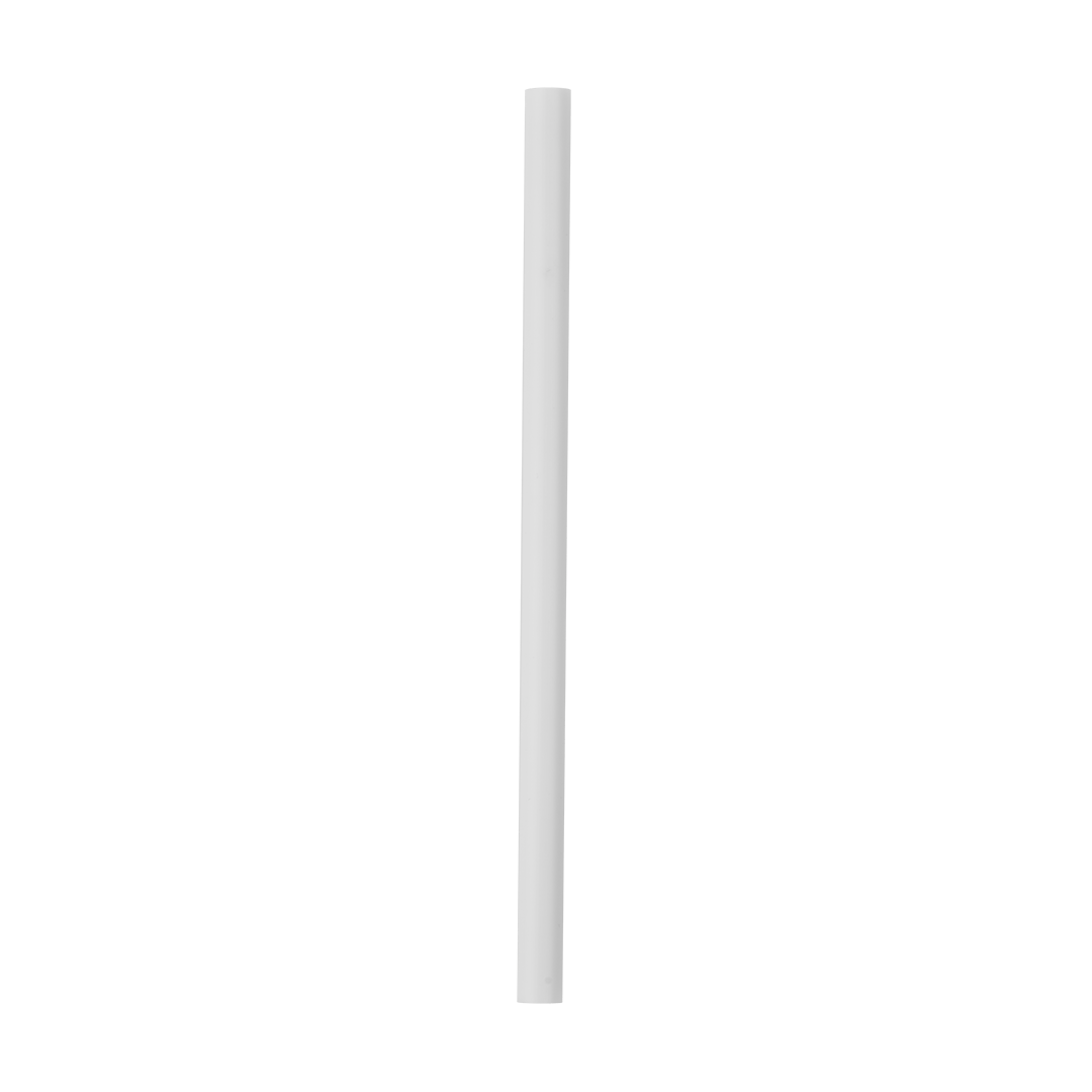 Replacement Straws C1