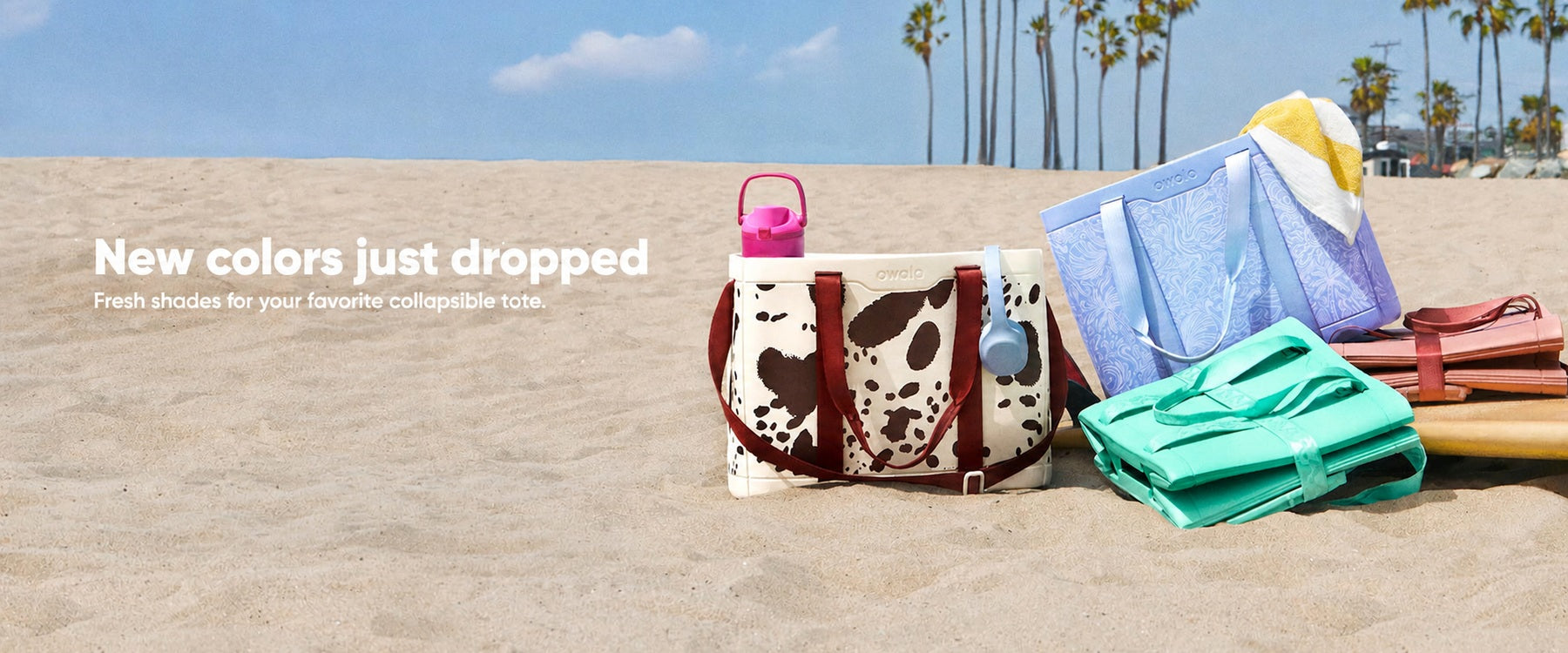 Colorful everyday essentials arranged on a sunny beach